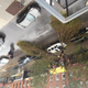 Image for article titled The Worst Damage from Hurricane Sandy (Updating Live)